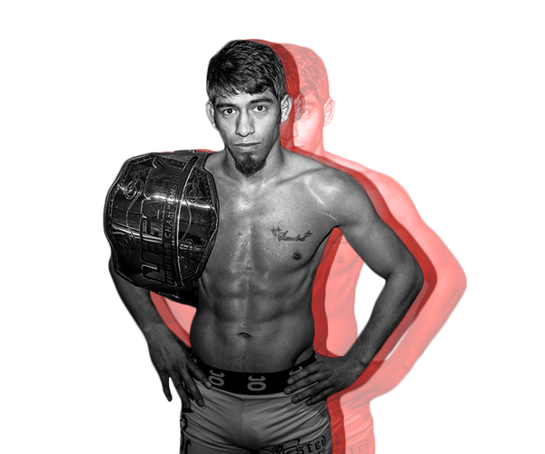 Will Campuzano